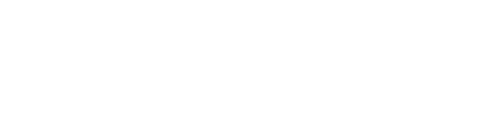 Adepci IT logo